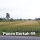 PANEN BERKAH 99