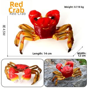 Realistic Lobster Hermit Crab King Crab Model Toy Marine Animal Ornaments