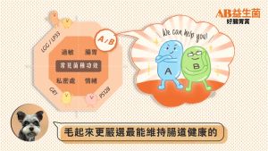 MAOEAT AB Kefir Probiotics Digestive Health Booster (Trial Pack)