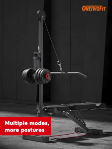 OneTwoFit high pull-down dumbbell bench sit-up bench multi-function bench press chair home heavy-duty fitness equipment