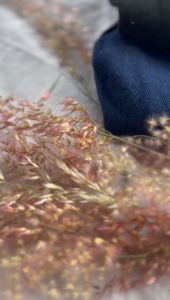 Celana Jeans Panjang untuk Pria: Cuci Gudang & Kualitas Terbaik