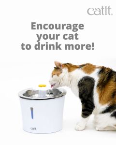 Catit Sense 2.0 Drinking Flower Fountain LED with Stainless Steel 3L