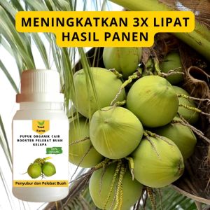 Pupuk Kelapa Cepat Berbuah / Pupuk Pelebat Buah Kelapa / Pupuk Booster Kelapa Cair