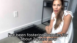 Greenpets Cat Cage Durable Metal All in One Cat Cage Large Size for Indoor Pets Easy Assembly