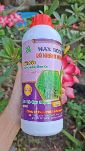 [VTNN TIEN KHOA] Phân bón lá MAX ROOT ĐẺ NHÁNH NỞ BỤI siêu ra rễ đẻ nhánh nở bụi bung đọt chai 1 lít