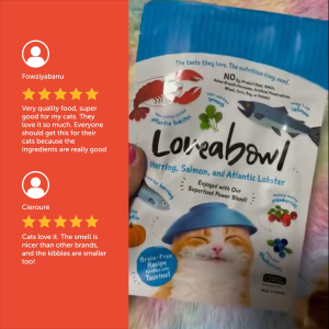 Loveabowl Grain Free Dry Cat Food 4.1kg| Complete Diet Kibbles Chicken Snow Crab Herring Salmon Lobster