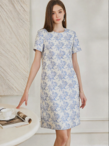 Roey s house | Elegant Light Blue Lace Dress Summer New Style Loose Fit