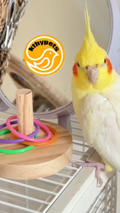 Parrot Bird Ring Toy for lovebird Solid Wood Educational Bird Supplies Intelligence Training Interactive Parrot Toys Birds Accessories