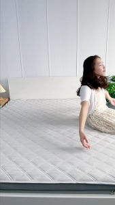Chiếu Điều Hòa Băng Lạnh EMA Lạnh Cấp 5 - Chạm Là Mát Nằm Là Mê Không Lạnh Hoàn Tiền