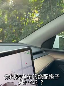 TORRAS | Magnetic Car Phone Mount Tesla Y3 Exclusive