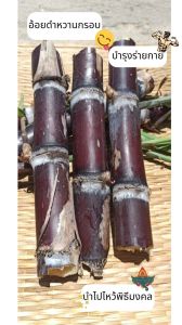 🎋พันธุ์อ้อยดำ อ้อยดำสายน้ำผึ้ง อ้อยมงคล อ้อยยา💊 เคี้ยวง่าย บำรุงร่างกาย💪🏼1ชุดได้2ท่อน สำหรับปลูกเท่านั้น🌱