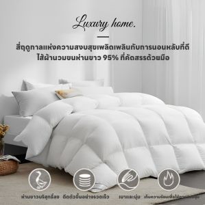 New Collection 5 ดาวที่ ญี่ปุ่น ผ้าห่มเย็น cool ของนอน ผ้าห่ม 3 ขนาด 150x200/180x220/200x230 ซม ผ้านวมผืนใหญ่คุณภาพสูง นุ่ม หนา น้ำหนักเบา สีทึบ ระบายอากาศ อ่อนโยนต่อผิว สีพืชอักษร ขนาด 40 สมารยุที่ 160 กรัม ผ้านวมฤดูร้อน ผ้าห่มฤดูร้ว์ กระบวนการ 50