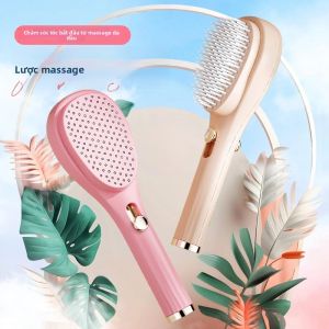 Bàn Chải Chải Tóc Tự Làm Sạch Có Thể Thu Gọn Chống Tĩnh Điện Massage Da Đầu Gỡ Rối Dụng Cụ Tạo Kiểu Tóc Chuyên Nghiệp Chất Liệu Nhựa