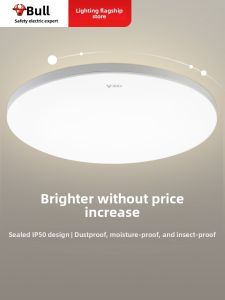 Bull | Dust & Insect Prevention Simple Ceiling Light