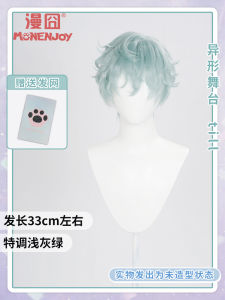 เทศตุ๊กตาสีเทาอ่อน สีน้ำเงินเขียว วัสดุสแปนเด็กซ์ ขนไหปลาร้า ชุดแต่งกายสำหรับการแสดงในเวทีอื่นๆ อื่นๆ