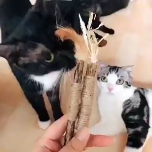 Silvervine Matatabi Linen Insect Gall Cat Toy Treats Cat Chew Stick Batang Kucing Mainan Wood Celestial Cat Toy Cat Teething Stick