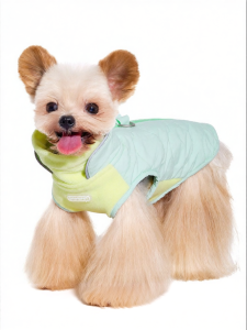 Mooki pet | Áo Choàng Ấm & Dây Dắt Cho Chó Schnauzer Nhỏ