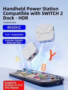 Switch/OLED TV Connection Dock HDMI Converter