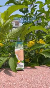 Kem Bôi Thảo Mộc Tan U Bướu Mỡ Sumifun 20g - Giúp Tiêu U Tụ Mỡ U Mô Mỡ Dưới Da Hiệu Quả. Chiết Xuất Tự Nhiên Từ Gừng Khô Nghệ Tây Bạch Chỉ. Không Phẫu Thuật An Toàn Dễ Dùng Tại Nhà. Hạn Chế Tái Phát Thẩm Thấu Nhanh Không Gây Kích Ứng  | MOSKA SHOP