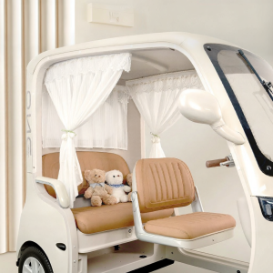 Sunscreen Shade Curtain for Haibao Fenghuang Pro Trike