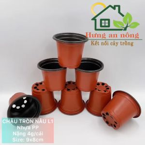CNTL1 - Sét 50 cái chậu nâu tròn ươm trồng cây giống nhựa PP size 9x8cm - xem trong mô tả
