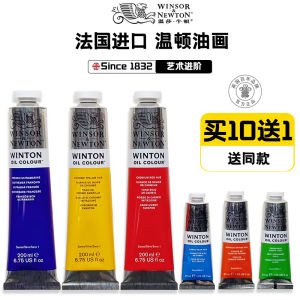 Original Windsor Newton Oil Painting Pigments in Aluminum Tube Large Size 24 Colors Artist Special High Quality Single Stick