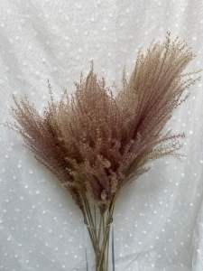 พร้อมส่ง จากกทม ดอกไม้แห้ง ดอกอ้อ ห้วยลึก red mini pampus ราคาต่อ 3 ก้านนะคะ