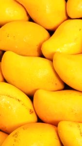 3F FOOD Dried Mangoes Fruit Snack Dried Mango from Vietnam - Madkithome