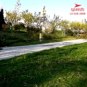 Skateboard Remaja Olahraga Papan Skate Kuat Speeds 028-2808 28in