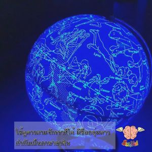 ลูกโลกแสดงประเทศและกลุ่มดาว (2 in 1) ขนาด 30 เซนติเมตร เวอร์ชั่น 2 - ลูกโลกที่เสือดูแลสุขภาพ 2 ประเภท