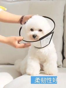 Comfortable E-Collar & Head Cover for Pets: Anti-Bite Solutions