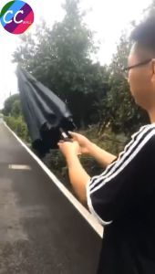 RollsLoyce Umbrella Long Handle Double Business Golf Large Wind Automatic Resistant Anti UV protection