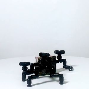 Béc phun sương Mius bán cạn 1 2 4 đầu cấp ẩm bể terrarium tiểu cảnh sân vườn