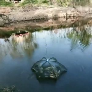 Keramba Jaring Payung & Jaring Bubu Lipat: Alat Tangkap Ikan Berkualitas