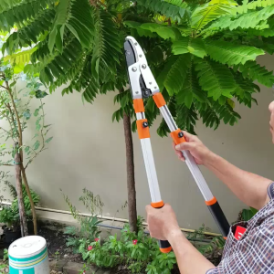 SK5 กรรไกรตัดกิ่งไม้ ยืดหดได้ ด้ามยาว ตัดกิ่งไม้สูง Cutting Branches pruning shears กรรไกรแต่งกิ่ง solo กรรไกรตัดกิ่ง กรรไกรตัดกิ่งไม้ กรรไกรแต่งกิ่ง กรรไกรตัดแต่งกิ่งสวนต้นไม้กรรไกรตัดแต่งกิ่งสูงเครื่องมือตัดแต่งกิ่งด้ามยาวอลูมิเนียมจับผลไม้มีดเครื่องหยิ