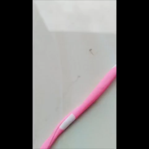 Bộ đồ bơi cho bé gái quần đùi kín dáo kết hợp áo dây thoải mái. bikini đi biển