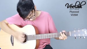 Veelah กีต้าร์โปร่ง 41 รุ่น VOSM VOMM พร้อมกระเป๋าสวย + 3 ปิ๊ก + ประแจ
