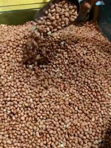 LIVING HOME Sendok Stainless Sekop Stainless Tebal Dan Jumbo Sekop Beras Skop Es Batu Serokan Sekop Biji Bijian Kopi Gula Beras Terigu Tepung Scoop Murah