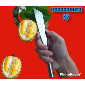 Dao tách sầu riêng