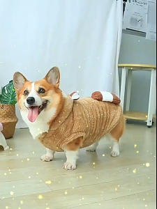 Quần áo áo khoác ấm cho Chó Mèo hình khủng long hổ vằn (mẫu mới) - Love Pets Shop