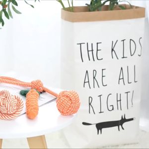 yoyopet : เชือกกัดสุนัข กระดูก ของเล่นสุนัข ของเล่นหมา แมว ลูกบอล จานร่อน