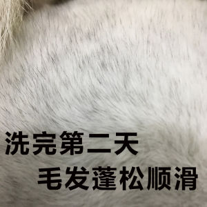 Totoro Bath Bath Sand Salt Sterilization Sand Close to Import Green Sweet Blue Cloud Volcanic Ash Bath Powder Totoro Supplies Full Set