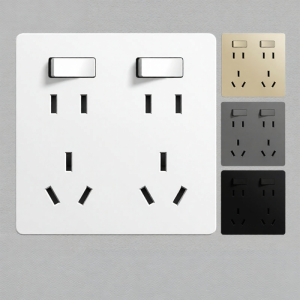 Independently Controlled 10-hole Socket Panel