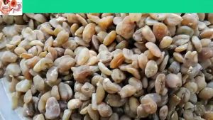 10 Hạt sang hạt sành đau dạ dày và đại tràng ( hạt trắng)