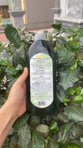 Nước Xông Tắm Cho Mẹ Và Bé Sau Sinh Bồ Hòn Thảo Dược Xông Tắm Gội - Chai 500ml