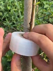 1/3/5Roll 3cm*200M Graft Film Budding Plant Pruning Repair Tape Stretchable Moisture Barrier Fruit Tree