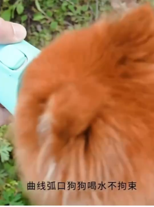 กระบอกน้ำ ขวดน้ำ น้องหมา พกพาสะดวก กระบอกน้ำสัตว์เลี้ยง 550 ml.