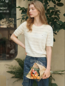 Elegant Hollow Out Knitted Short Sleeve Shirt