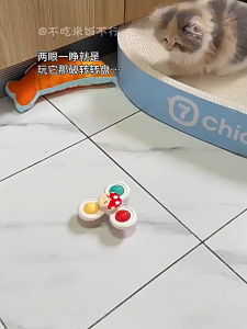 Suction Spinners 3 Cute Designs Endless Fun for Cats Strong Suction Smooth Rotation Safe Durable Lion Dinosaur Mushroom