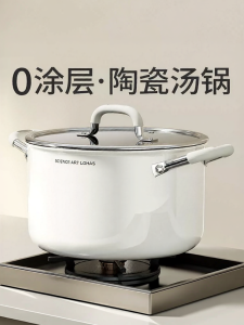 DUMIK | 316 Stainless Steel Food Grade Pot Electromagnetic Stove and Gas Compatible 2-Handle